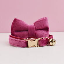 Velvet Charms: Personalized Collars and Bowties