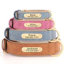 Personalized Leather Dog Collars – Strong, Stylish & Safe | CurliTail