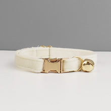 Velvetty Trends: Personalized Collars and Bowties