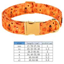 Personalized Pumpkin Halloween Dog Collar with Bowtie flower | Custom Collar with Name