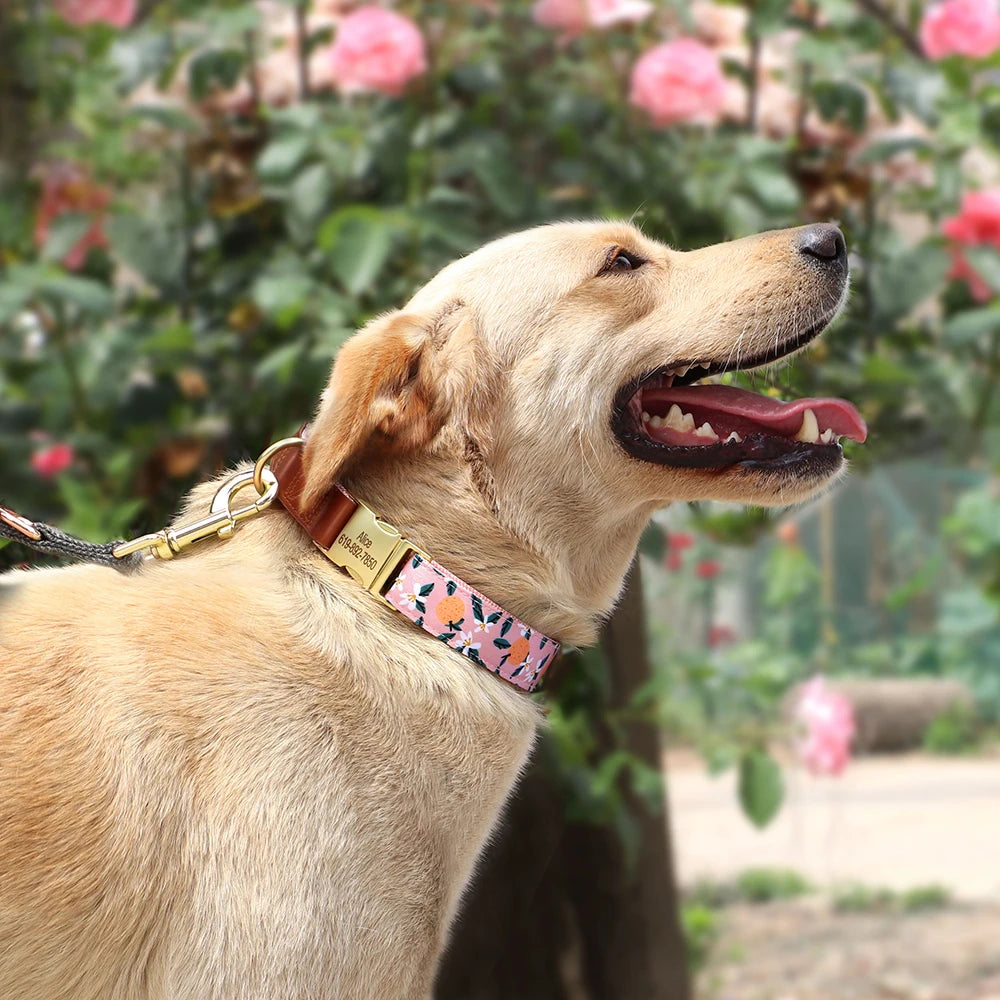 Personalized Floral Pet Collars – Premium Collection by CurliTail