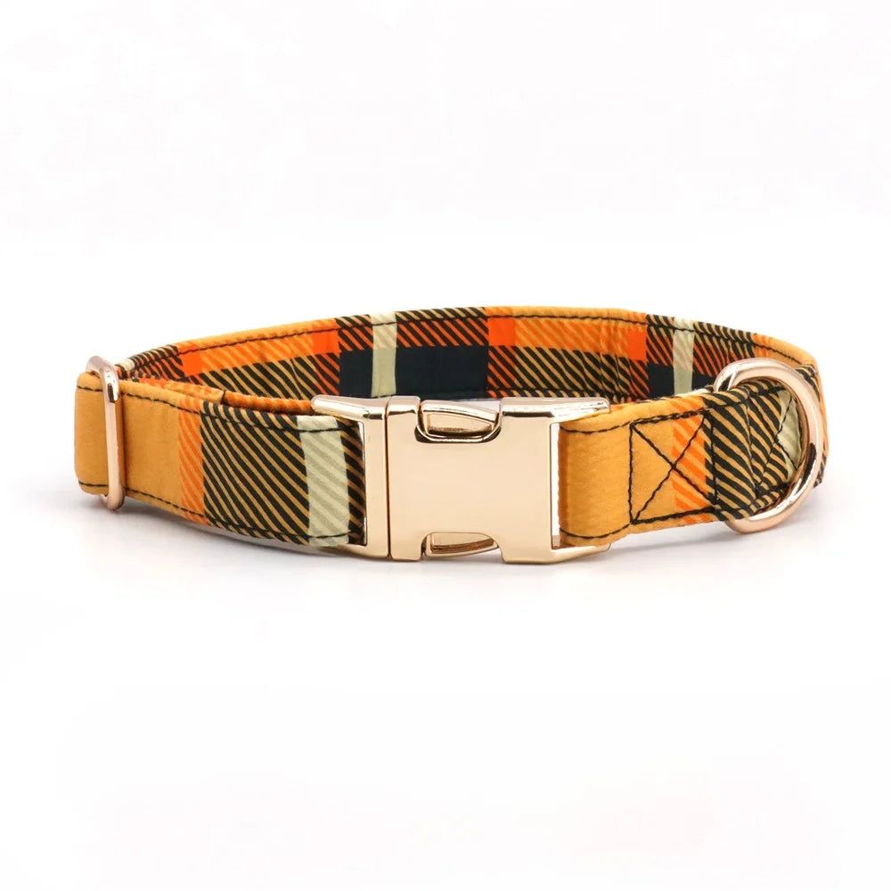 Bow-tiful Checkers: Personalized Bow Collar and Leash Set