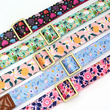 Personalized Floral Pet Collars – Premium Collection by CurliTail