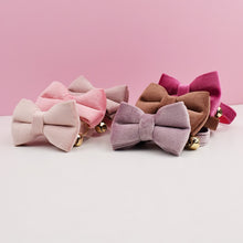 Velvet Charms: Personalized Collars and Bowties