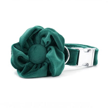 47562739646743|47562739679511|47562739712279|47562739745047