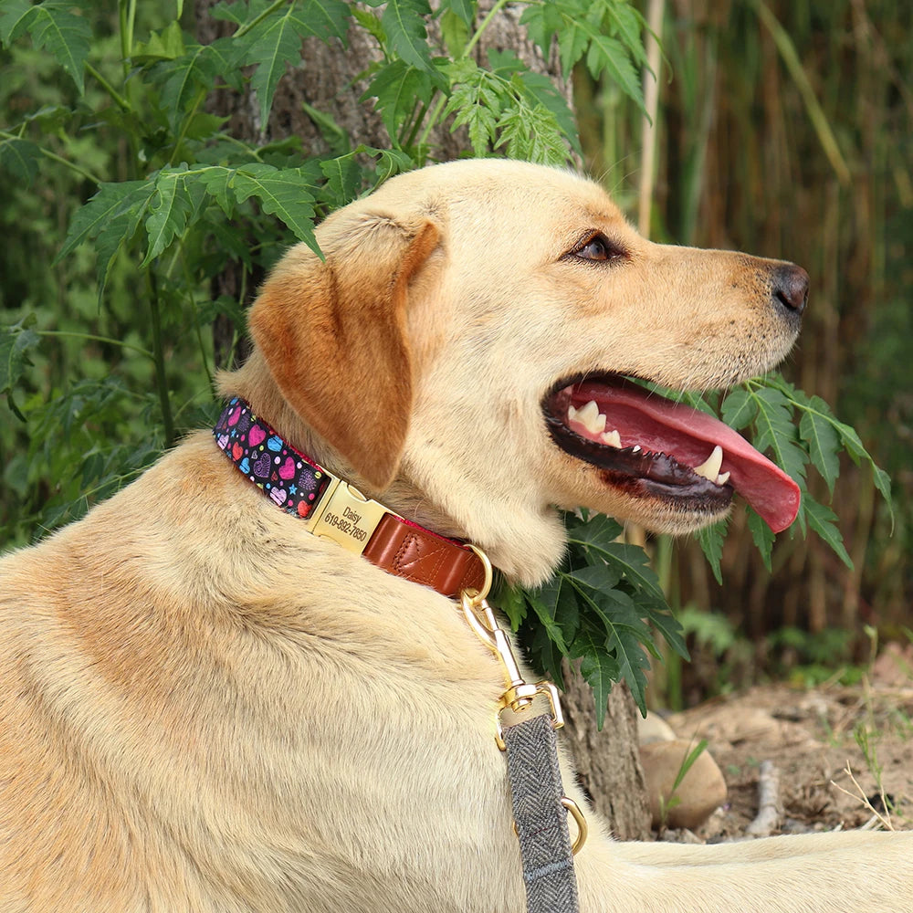 Personalized Floral Pet Collars – Premium Collection by CurliTail
