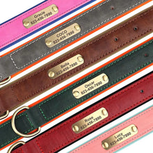 Personalized Leather Dog Collars – Strong, Stylish & Safe | CurliTail
