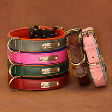 Personalized Leather Dog Collars – Strong, Stylish & Safe | CurliTail