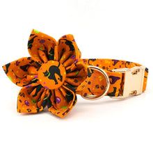 Personalized Orange Halloween Dog Collar with Bowtie/Flower for Halloween Holidays
