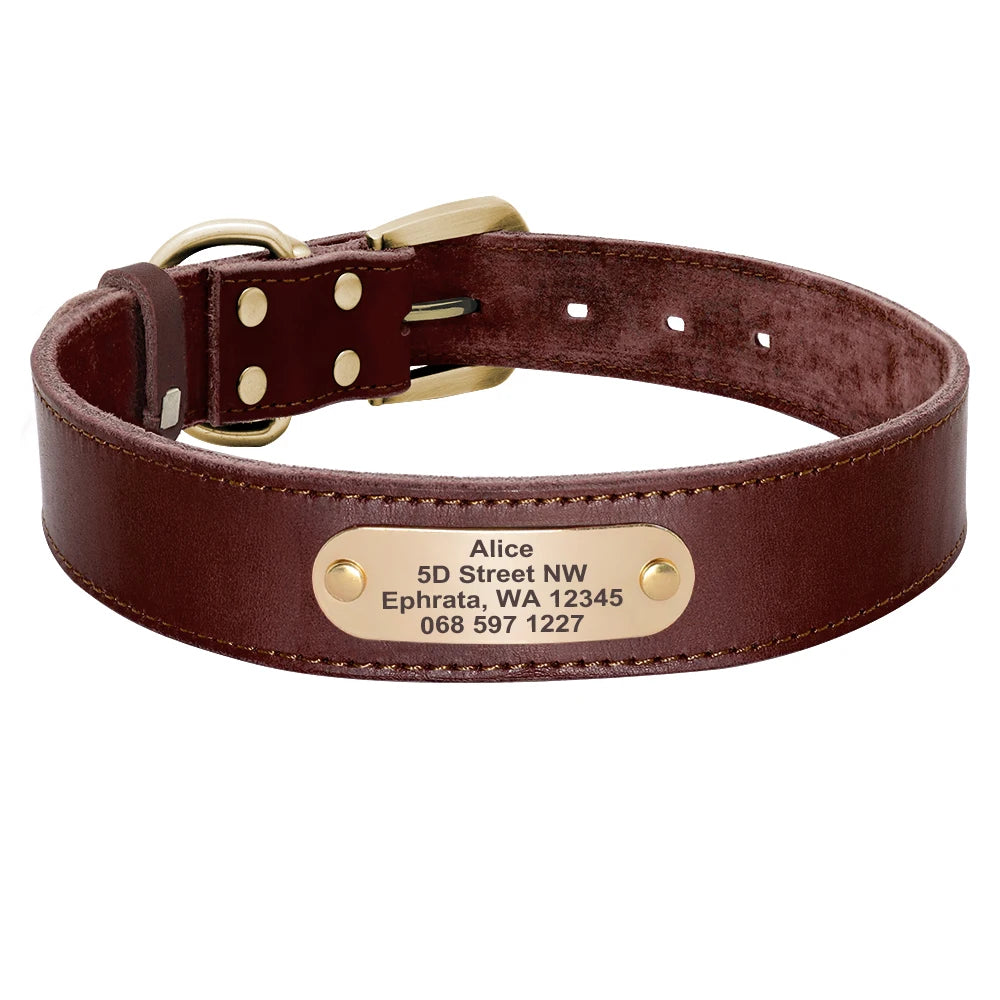 Custom Personalized Leather Dog Collar & Optional Leash with Nameplate For Small Medium Large Dogs