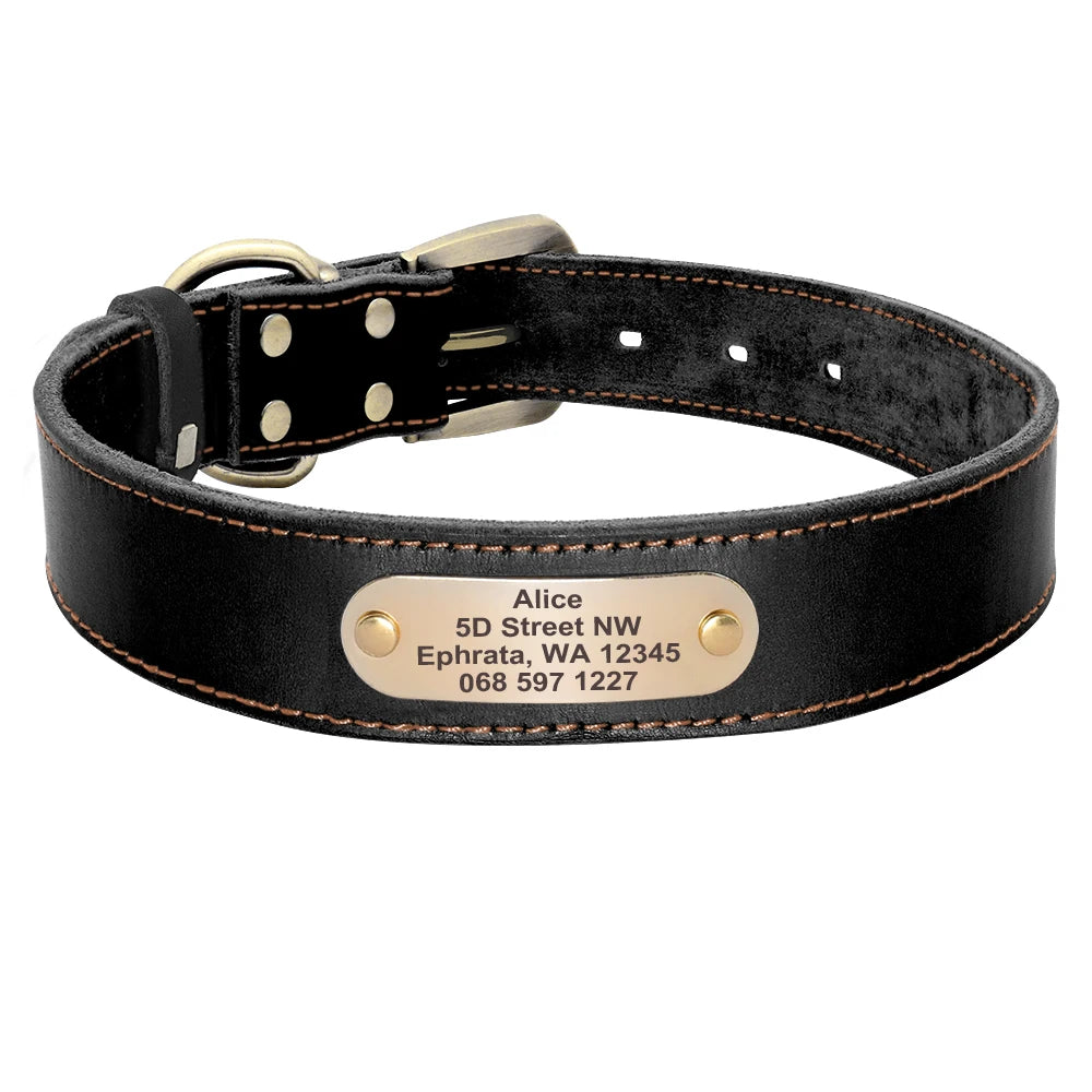 Custom Personalized Leather Dog Collar & Optional Leash with Nameplate For Small Medium Large Dogs