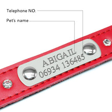 Personalized Cat Collar Bling Rhinestone | Custom Nameplate ID Collar for Small Dogs & Kittens