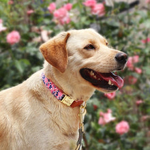 Personalized Floral Pet Collars – Premium Collection by CurliTail