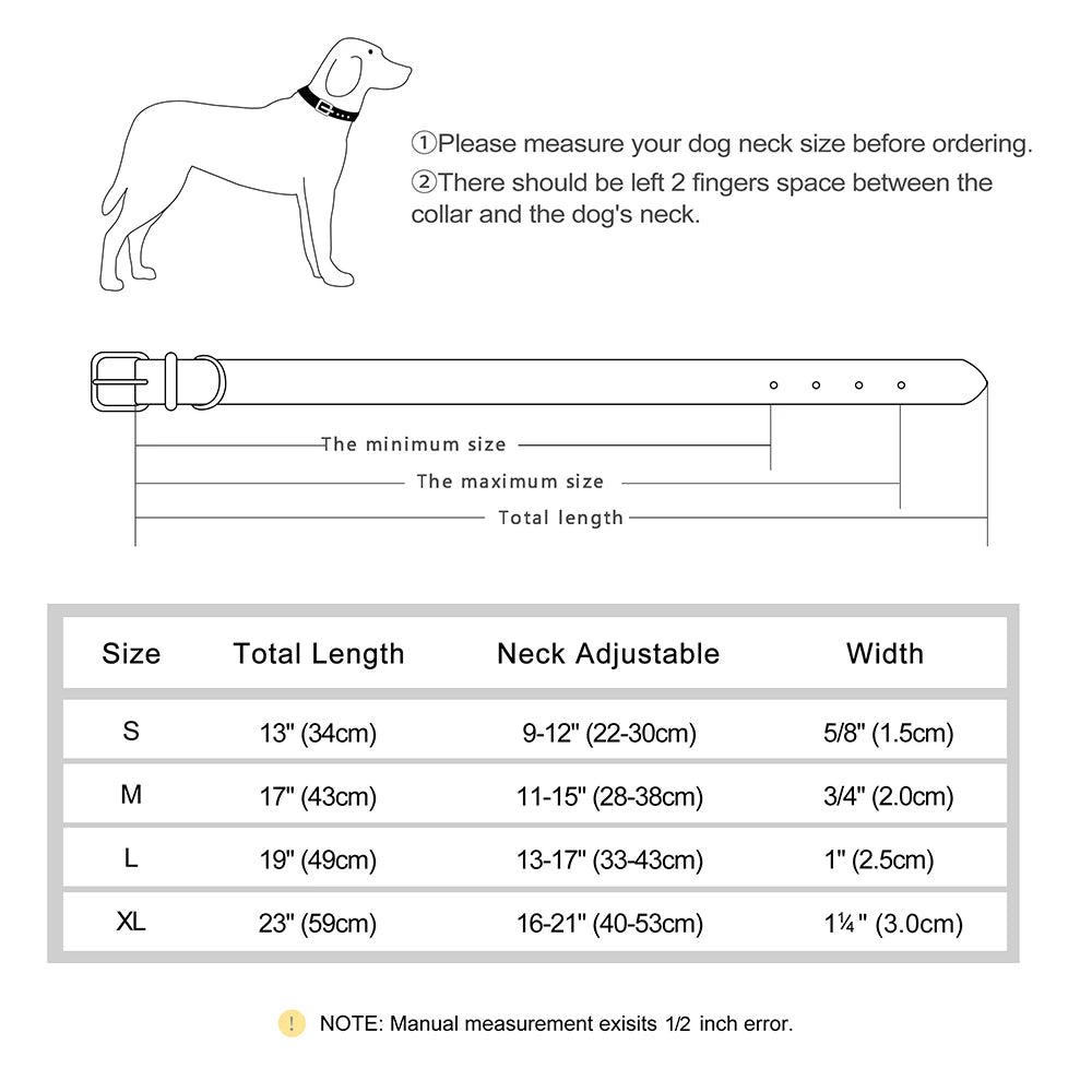 Personalized Leather Dog Collars – Strong, Stylish & Safe | CurliTail