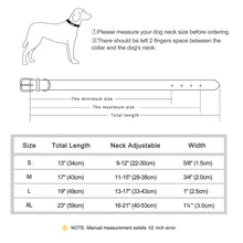 Personalized Leather Dog Collars – Strong, Stylish & Safe | CurliTail