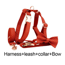 47560531378455|47560531443991|47560531509527|47560531575063|47560531640599