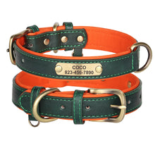 Personalized Leather Dog Collars – Strong, Stylish & Safe | CurliTail