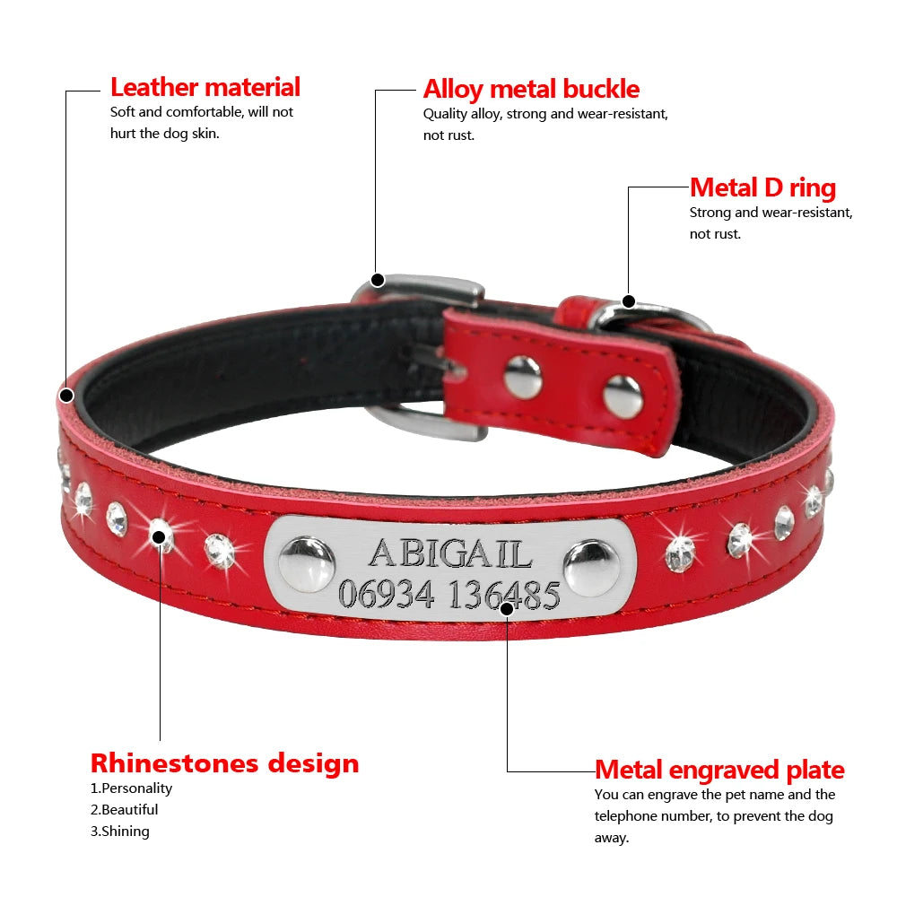 Personalized Cat Collar Bling Rhinestone | Custom Nameplate ID Collar for Small Dogs & Kittens