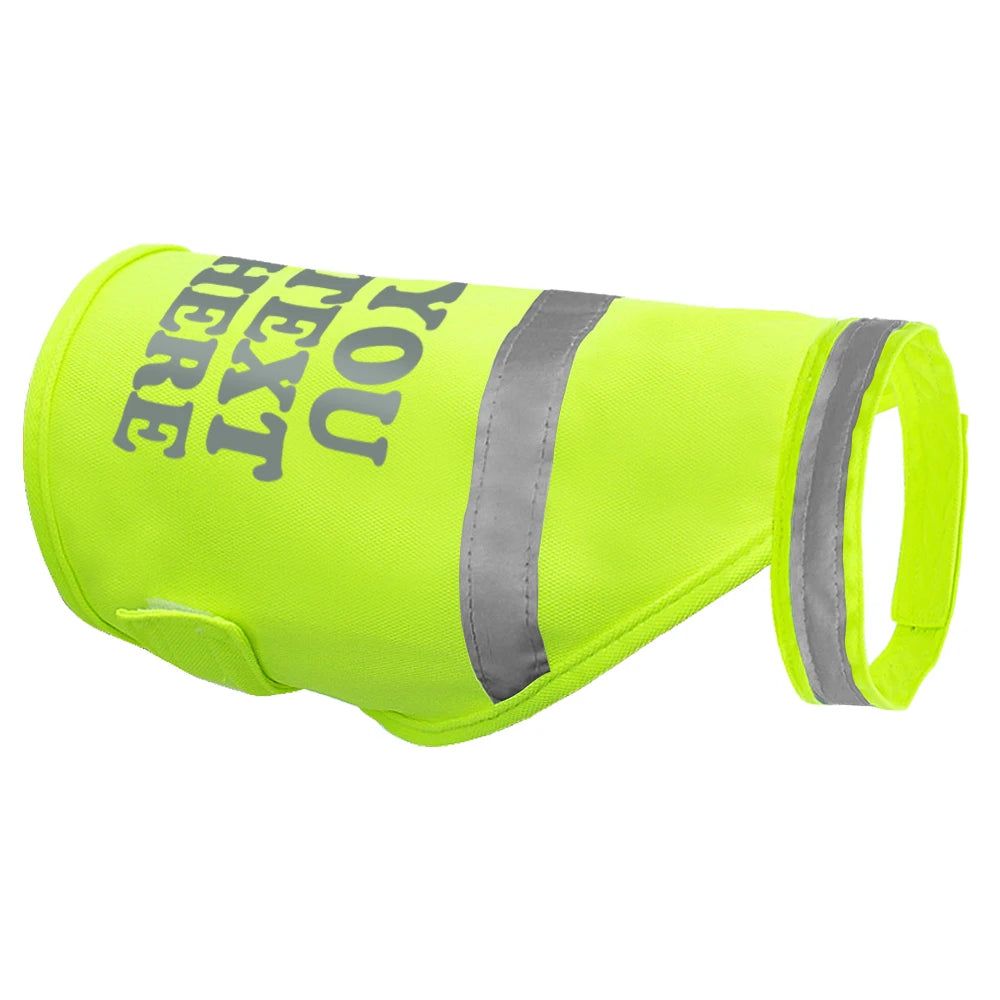 Custom Reflective Dog Vest – Personalized Safety Dog Clothes for Night Walking and Outdoor Adventures - CurliTail