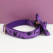 Personalized Halloween Dog Collar with Free Engraving ID Name Tag Matching Leash And Harness