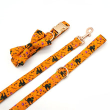 Personalized Orange Halloween Dog Collar with Bowtie/Flower for Halloween Holidays