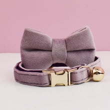 Velvet Charms: Personalized Collars and Bowties