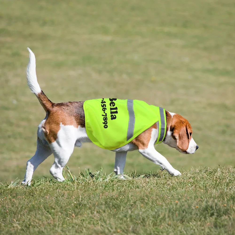 Custom Reflective Dog Vest – Personalized Safety Dog Clothes for Night Walking and Outdoor Adventures - CurliTail