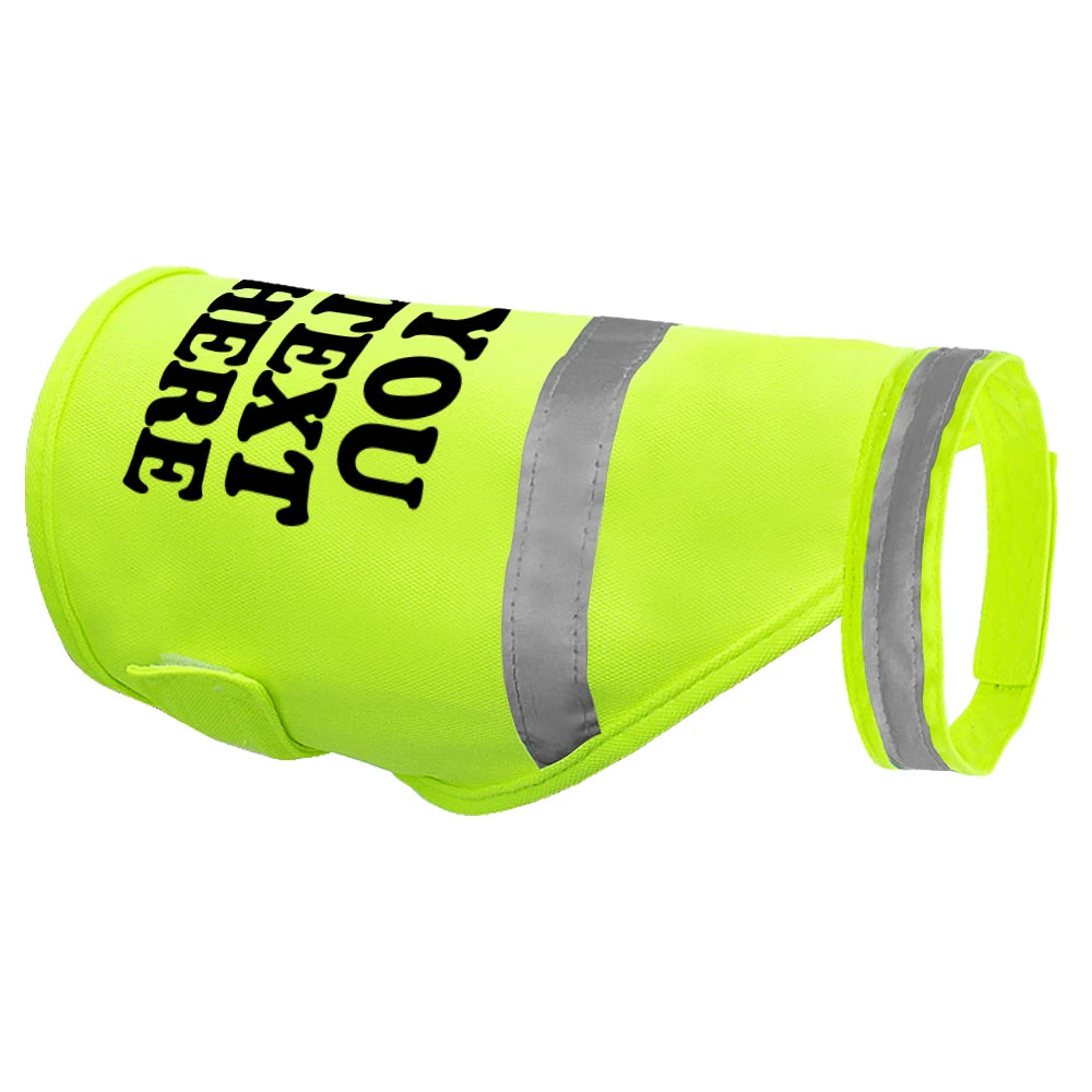Custom Reflective Dog Vest – Personalized Safety Dog Clothes for Night Walking and Outdoor Adventures - CurliTail