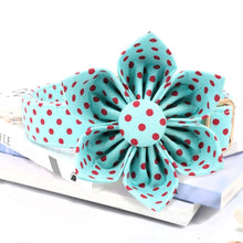 Classic Blue And Red Polka Dot: Personalized Flower Collar And Leash Set