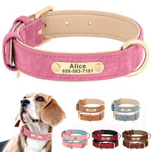 Personalized Leather Dog Collars – Strong, Stylish & Safe | CurliTail