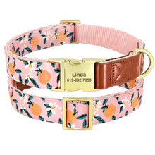 Personalized Floral Pet Collars – Premium Collection by CurliTail