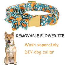 Personalized Halloween Pumpkin Dog Collar with Flower / Bowtie | Customized Dog Id Collars