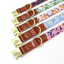 Personalized Floral Pet Collars – Premium Collection by CurliTail