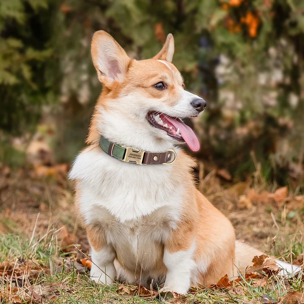 Personalized PU Leather Dog Collars | Custom Dog ID Collar with Name