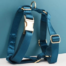 Blue Butterfly Ballet: Personalized Collar, Harness and Leash Set