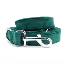 Green Floral Flourish: Personalized Collars and Leashes