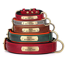 Personalized Leather Dog Collars – Strong, Stylish & Safe | CurliTail