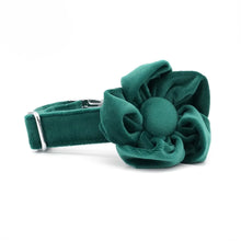 Green Floral Flourish: Personalized Collars and Leashes