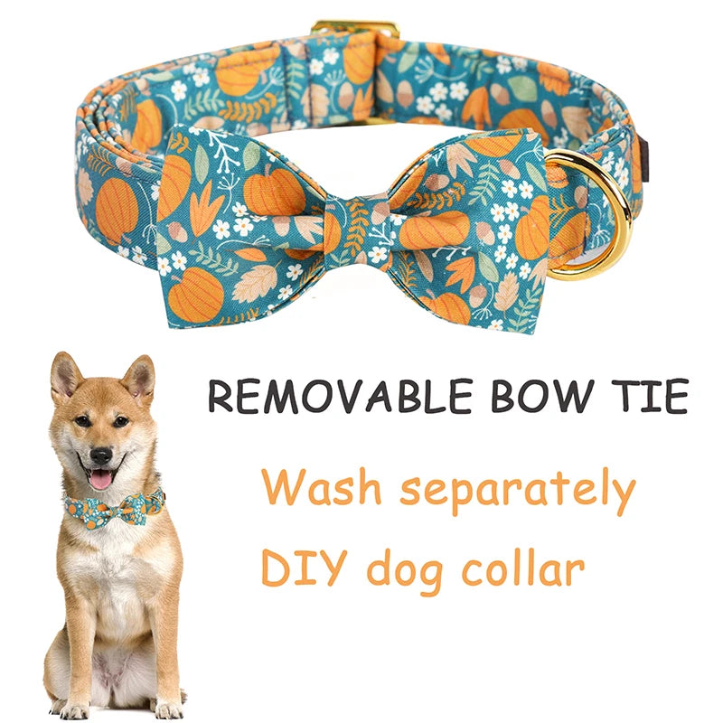 Personalized Fall Pumpkin Dog Collar with Flower / Bowtie | Customized Dog Id Collars