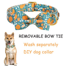 Personalized Halloween Pumpkin Dog Collar with Flower / Bowtie | Customized Dog Id Collars
