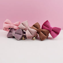 Velvet Charms: Personalized Collars and Bowties