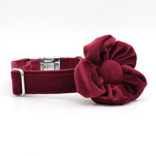 Red Velvet Vineyard: Personalized Collars and Leashes