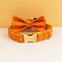 Personalized Halloween Adjustable Dog Collar Leash Set with ID Tag Engraving