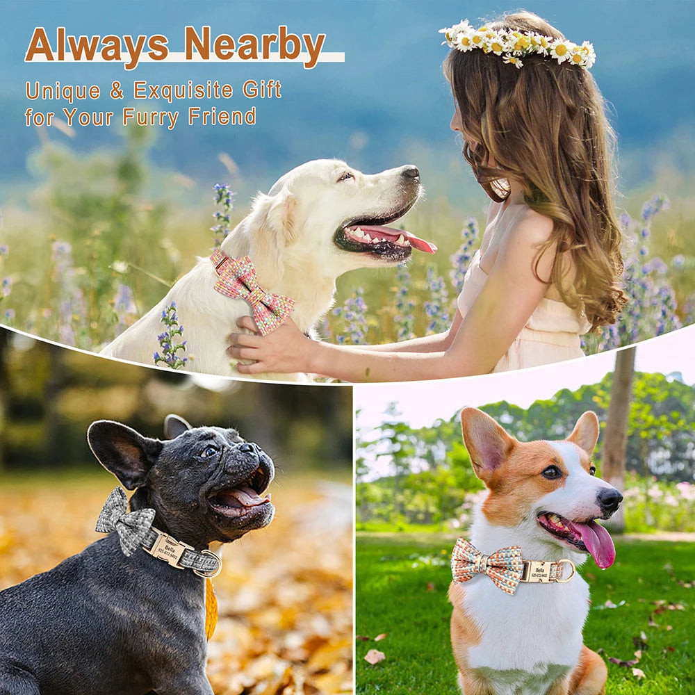 Fashionable Personalized Dog Collar with Bowtie | Custom Pet Name ID Dog Collars