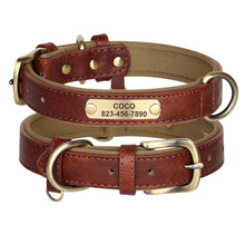 Personalized Leather Dog Collars – Strong, Stylish & Safe | CurliTail