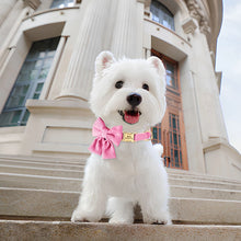 Girly Bow Dog Collars – Stylish, Personalized Pet Collars | CurliTail