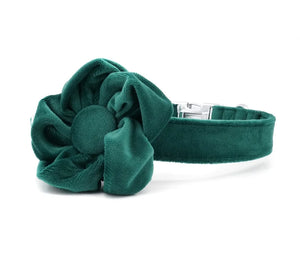 Green Floral Flourish: Personalized Collars and Leashes