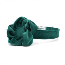 Green Floral Flourish: Personalized Collars and Leashes