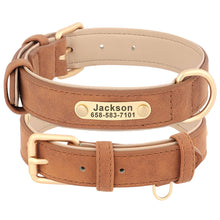 Personalized Leather Dog Collars – Strong, Stylish & Safe | CurliTail