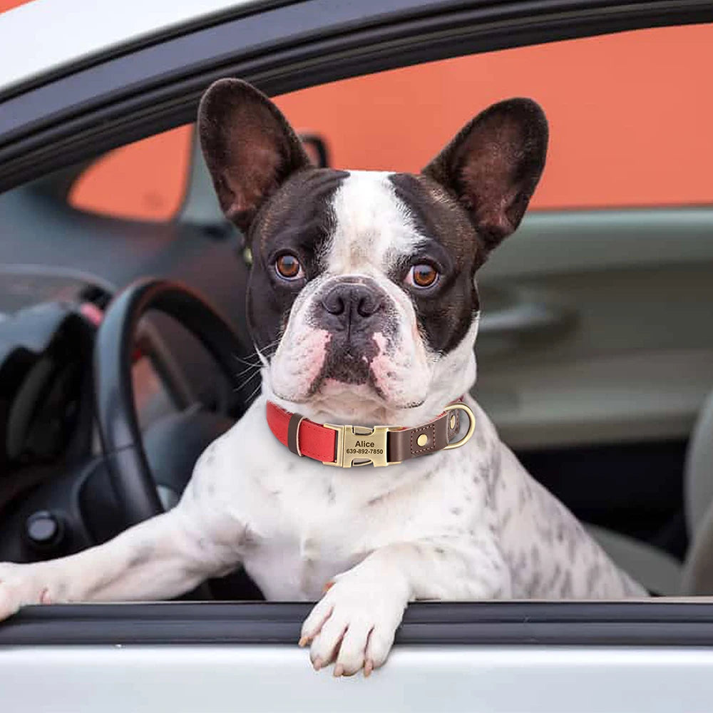 Personalized PU Leather Dog Collars | Custom Dog ID Collar with Name